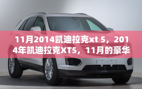 豪华之选，凯迪拉克XT5 2014年11月豪华SUV体验