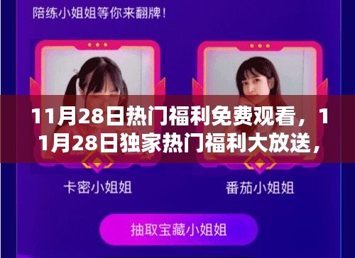 11月28日独家福利大放送，免费观看精彩内容的极致体验