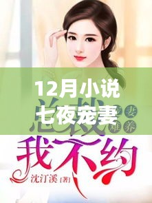 『科技之宠，七夜宠妻的高科技体验之旅』