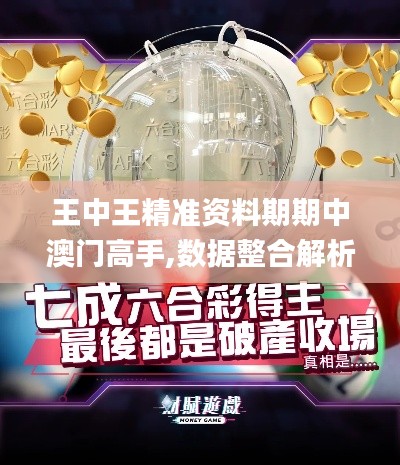 王中王精准资料期期中澳门高手,数据整合解析计划_LZJ63.825无线版