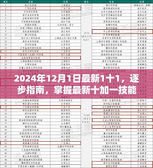 初学者与进阶用户指南，掌握最新十加一技能，逐步指南到操作手册