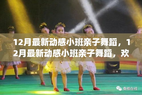 动感小班亲子舞蹈，欢乐互动，共度美好时光