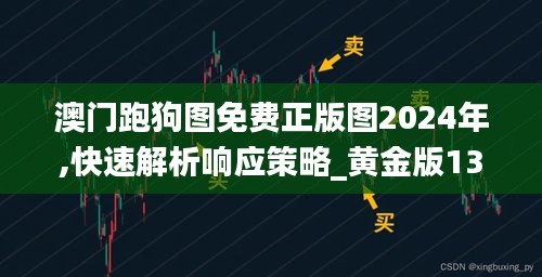 澳门跑狗图免费正版图2024年,快速解析响应策略_黄金版132.592-9