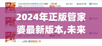 2024年正版管家婆最新版本,未来展望解析说明_Tablet88.619-3