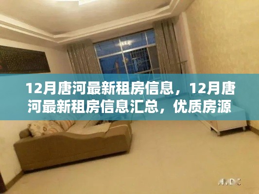 12月唐河最新租房信息汇总，优质房源一览无余