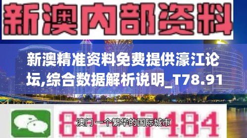 新澳精准资料免费提供濠江论坛,综合数据解析说明_T78.913-8