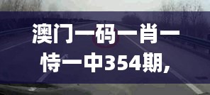 澳门一码一肖一恃一中354期,高速解析方案响应_尊贵款76.217-1