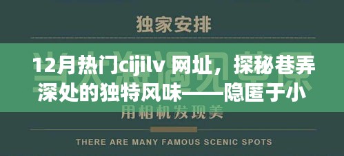 探秘十二月热门CIJILV网址，巷弄深处的独特风味小店