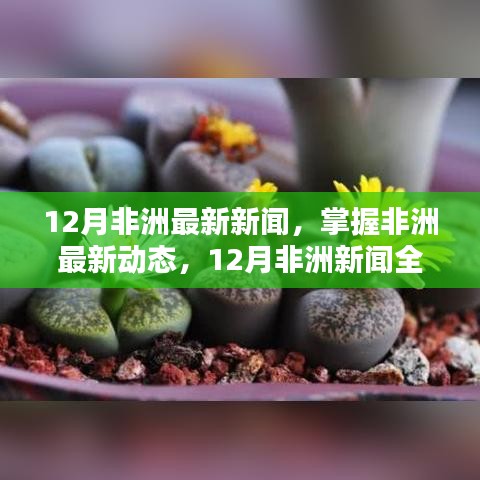 12月非洲新闻全攻略，掌握非洲最新动态，初学者与进阶用户的必备指南