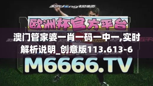 澳门管家婆一肖一码一中一,实时解析说明_创意版113.613-6