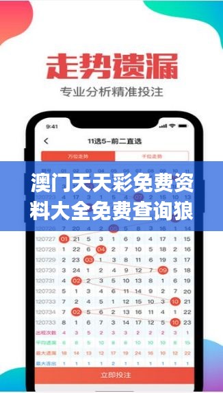 澳门天天彩免费资料大全免费查询狼披羊皮,实地解读说明_理财版60.720