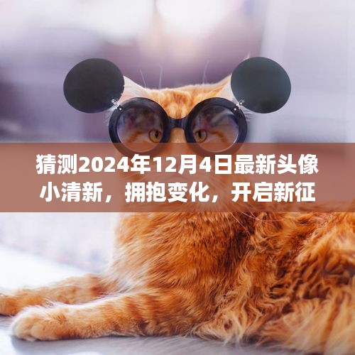 开启小清新头像新征程，拥抱变化，学习成就，预测2024年12月4日最新潮流头像