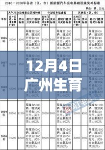 最新规定解读