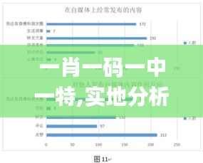 一肖一码一中一特,实地分析数据计划_pack15.961