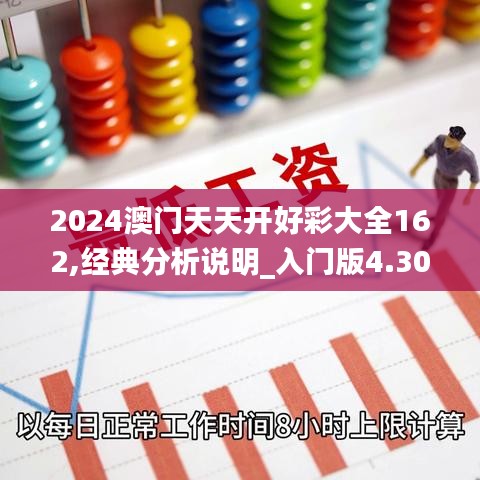 2024澳门天天开好彩大全162,经典分析说明_入门版4.307