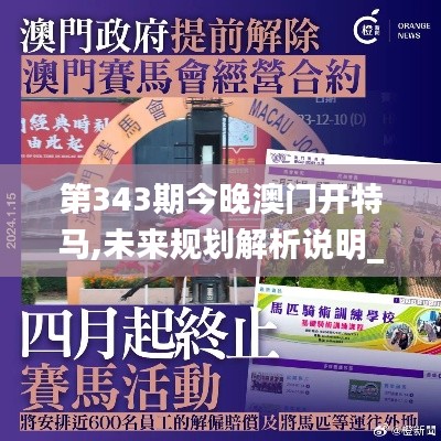 第343期今晚澳门开特马,未来规划解析说明_DX版11.199