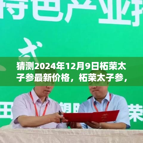 2024年柘荣太子参最新价格预测与展望