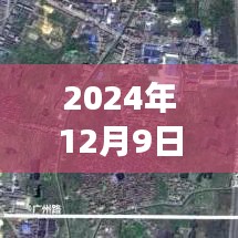 南昌交通事故启示录，学习变化，自信成就未来——2024年南昌交通事故最新报道
