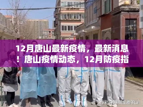 共同守护家园
