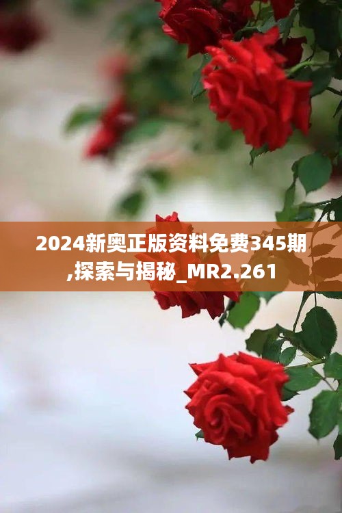 2024新奥正版资料免费345期,探索与揭秘_MR2.261