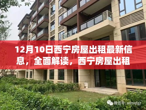 西宁房屋出租最新信息深度解读与对比分析（12月版）
