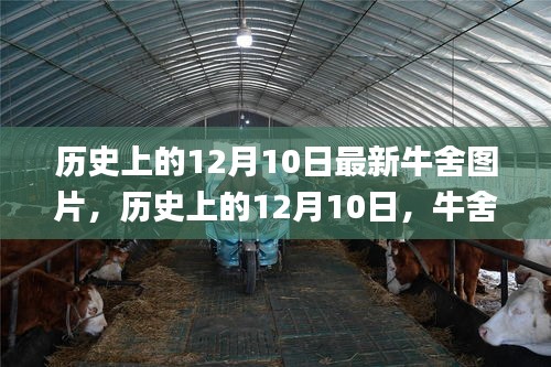千里迢迢 第4页
