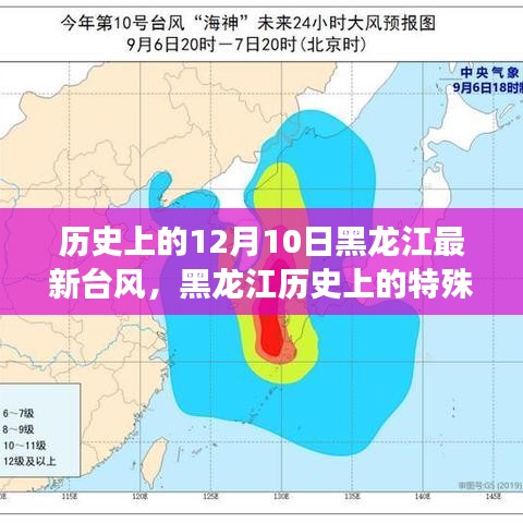 揭秘黑龙江历史上的特殊日子，罕见台风侵袭十二月十日纪实