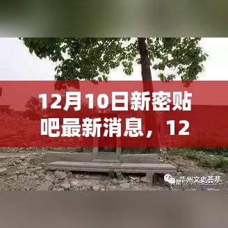 鸢飞鱼跃 第4页