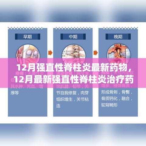 新闻中心 第206页