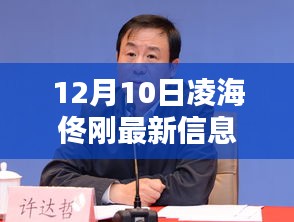 凌海佟刚最新产品解析及深度评测——12月10日全新信息揭秘