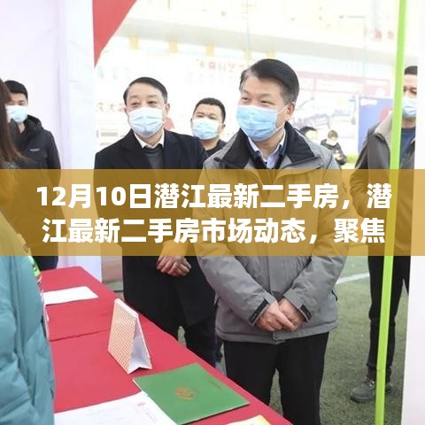 市场动态解析