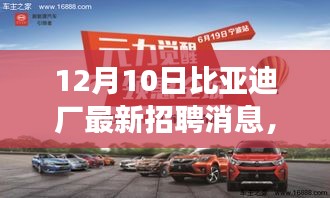 比亚迪创新科技盛宴，最新招聘消息与高科技产品深度体验日