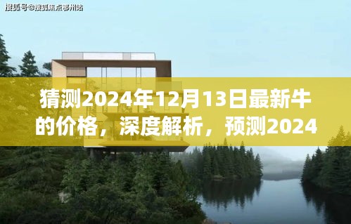 2024年牛市场最新价格预测，深度解析与综合评测