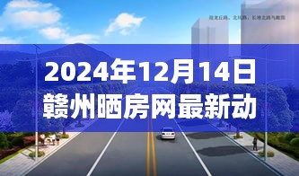 观点碰撞