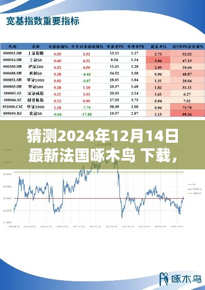 最新评测报告