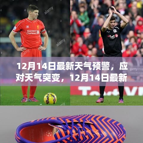 关于我们 第208页