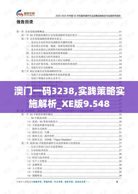 澳门一码3238,实践策略实施解析_XE版9.548