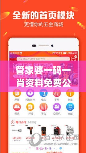 管家婆一码一肖资料免费公开,灵活操作方案设计_7DM14.589