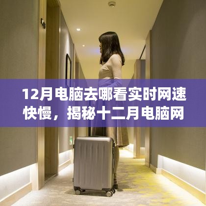 解决方案 第194页