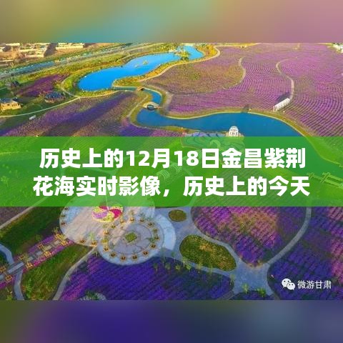 励志篇章