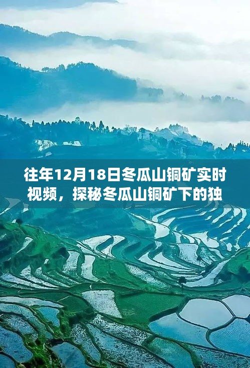 探秘冬瓜山铜矿下的隐藏特色小店，实时视频记录独特小巷故事