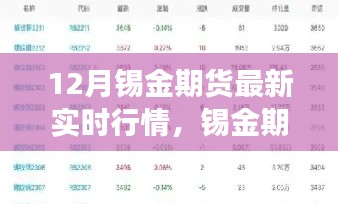 锡金期货实时行情动态，洞悉市场趋势，掌握最新动态揭秘