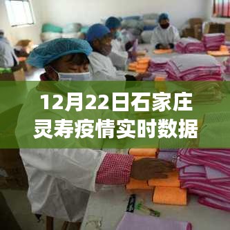 影响分析