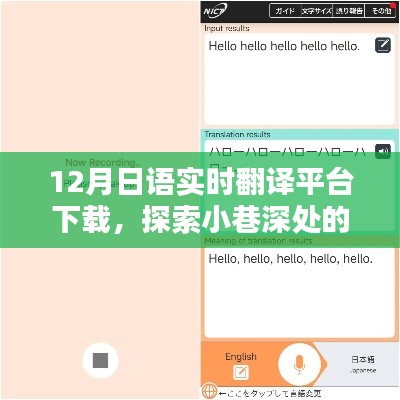 小巷深处的宝藏