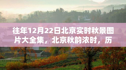 历年12月22日北京秋景纪实影像回顾，秋韵浓时全景呈现