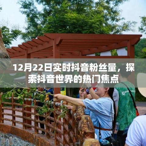 惊弦之鸟 第3页