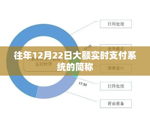 大额实时支付系统简称介绍，12月22日实时支付系统详解