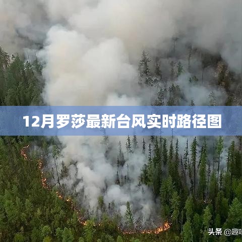 罗莎台风实时路径图更新（最新动态）