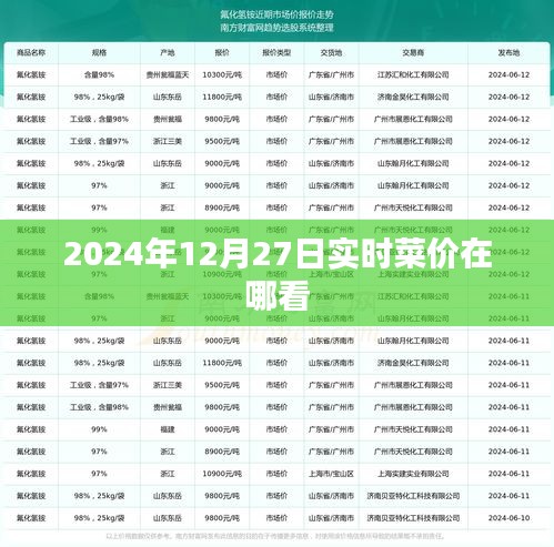 最新菜价查询，2024年12月27日实时更新
