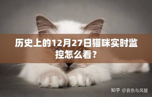 猫咪实时监控的历史解读，如何解读12月27日数据？
